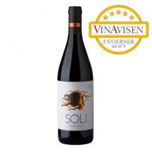 2020 Pinot Noir SOLI Edoardo Miroglio 13,5% - Afgjort et Pinot Noir-fund til prisen
